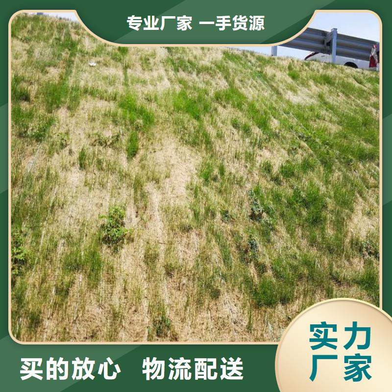 【椰丝毯土工格栅品种全】