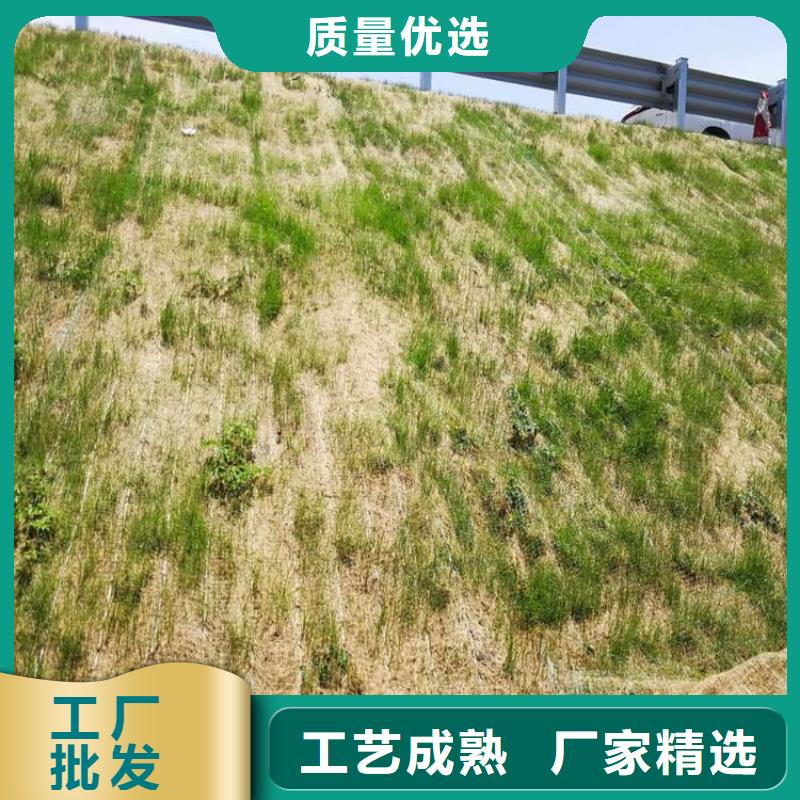 【椰丝毯】-软式透水管库存量大
