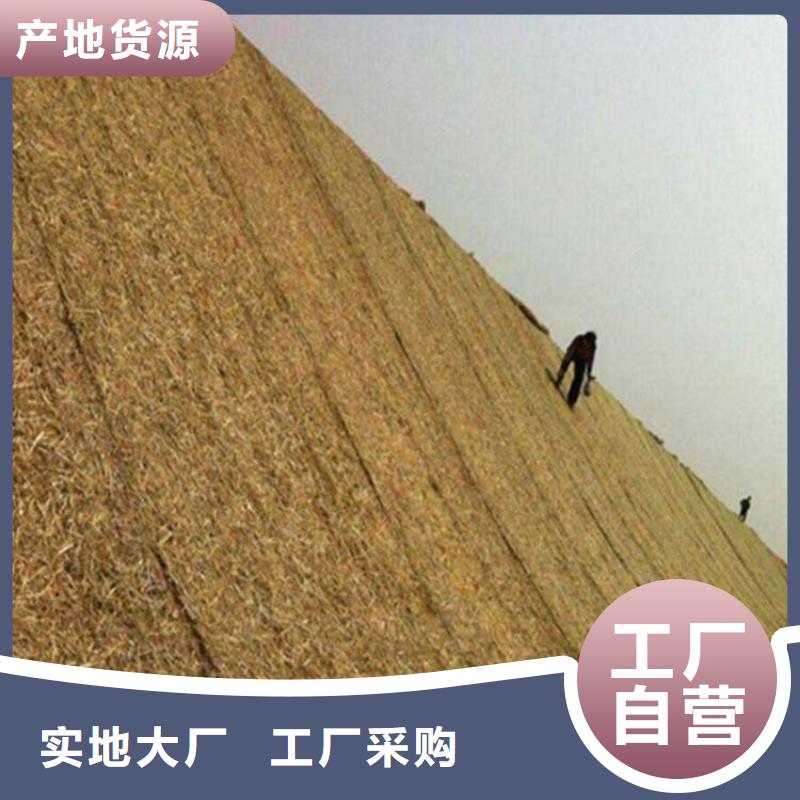 椰丝毯软式透水管专业生产设备