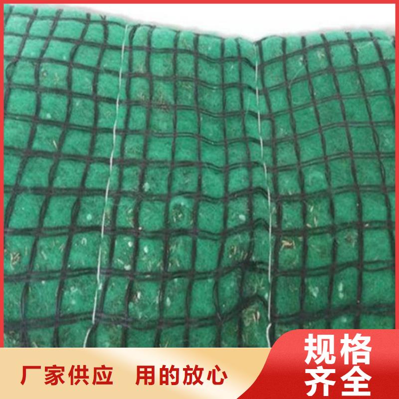 椰丝毯三维植被网厂家直销供货稳定
