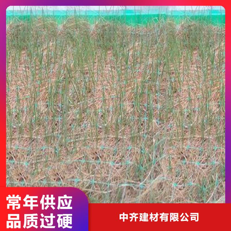 椰丝毯-膨润土防水毯价格实惠工厂直供