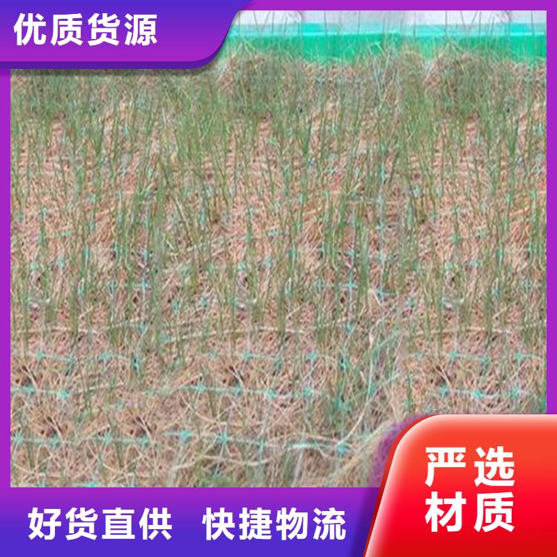 椰丝毯HDPE土工膜专心专注专业