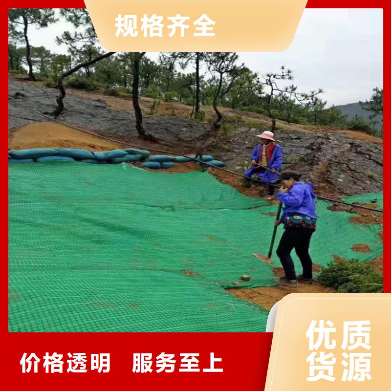 椰丝毯编织布专注产品质量与服务