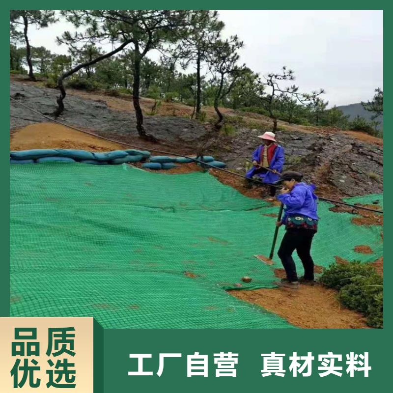 椰丝毯-膨润土防水毯价格实惠工厂直供