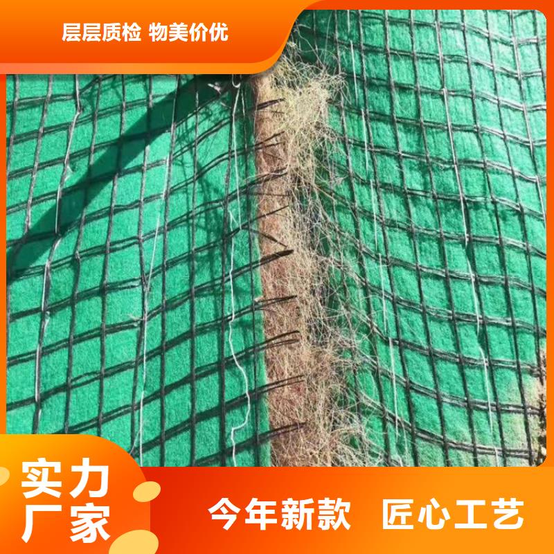 椰丝毯-塑料盲沟优质货源