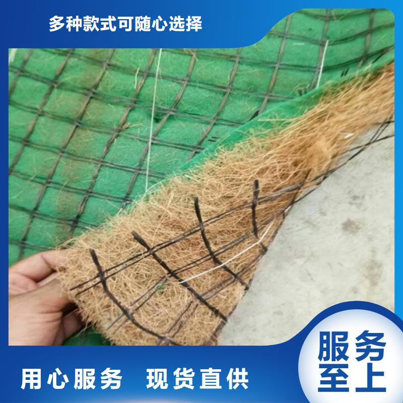 椰丝毯-塑料盲沟优质货源