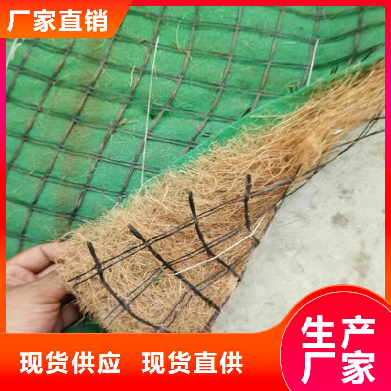椰丝毯-防渗膜优质货源