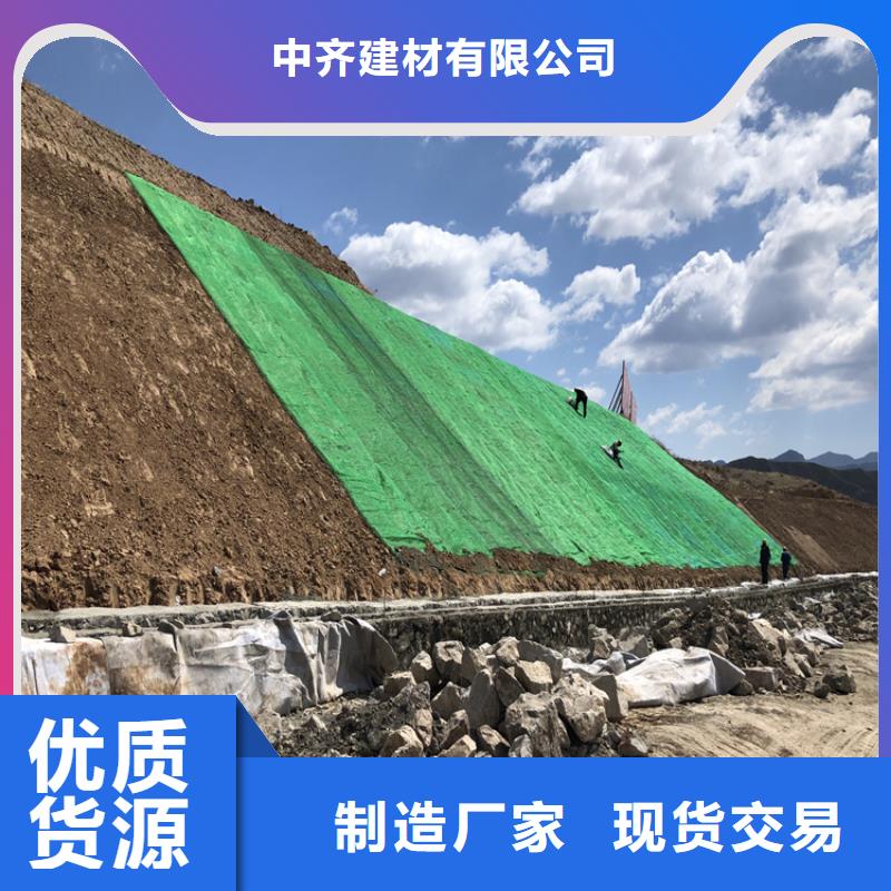 椰丝毯土工网垫专业信赖厂家