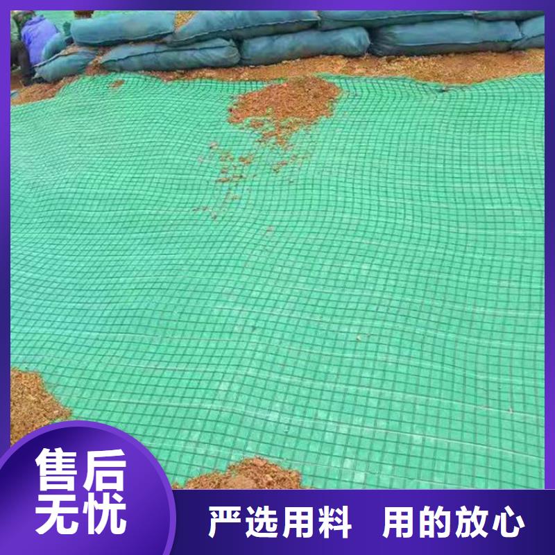 椰丝毯三维植被网厂家直销供货稳定