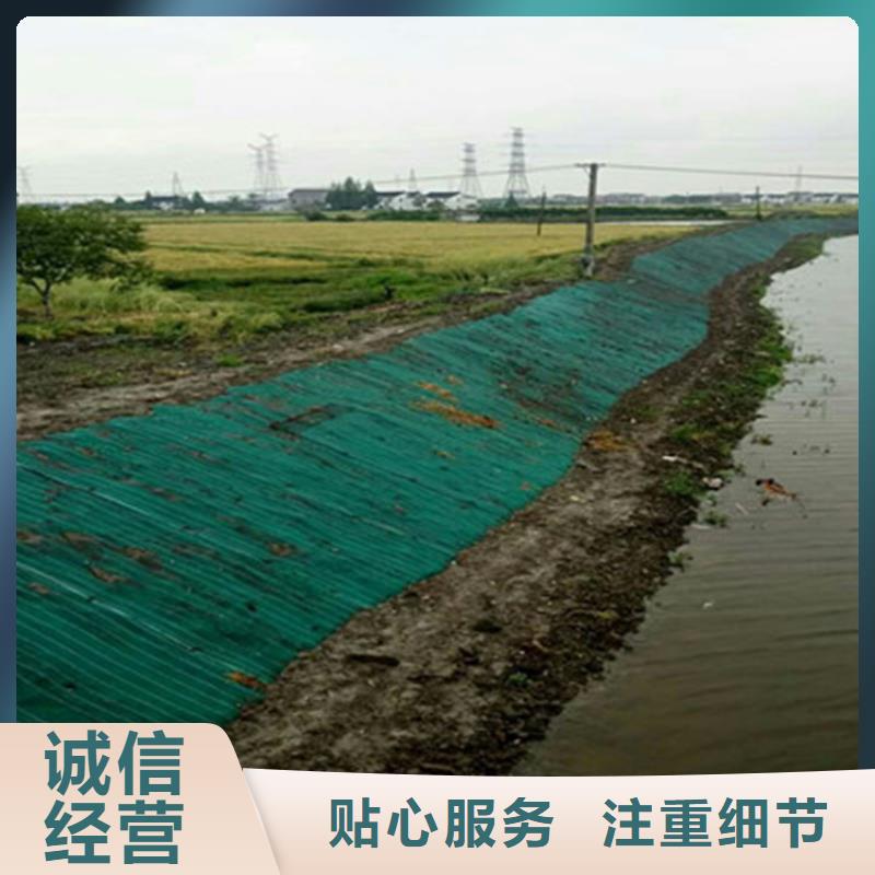 椰丝毯-聚酯布品质商家