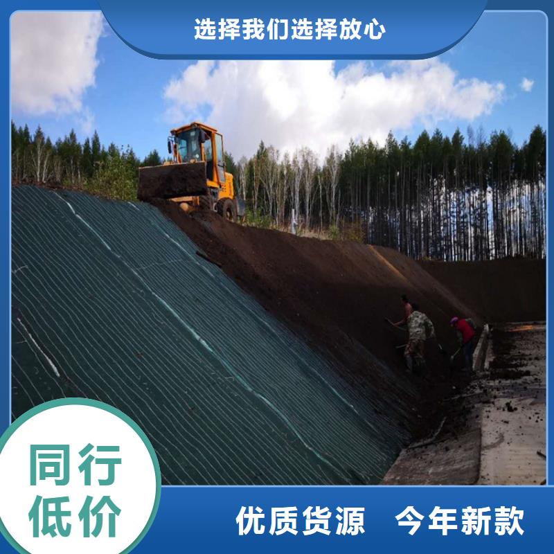 【椰丝毯土工格栅品种全】