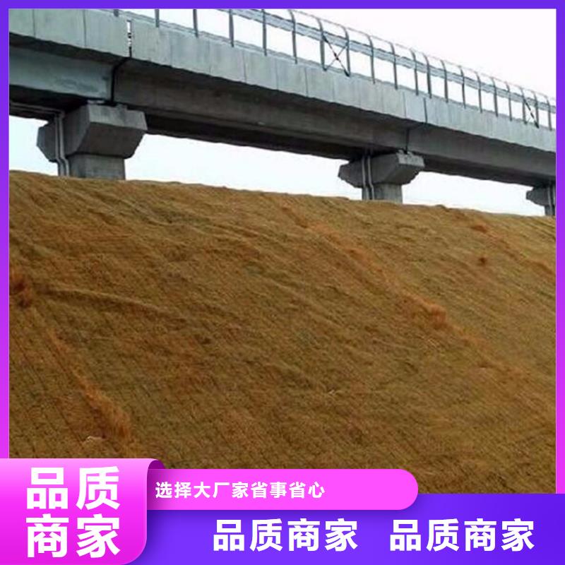椰丝毯_土工网垫可接急单