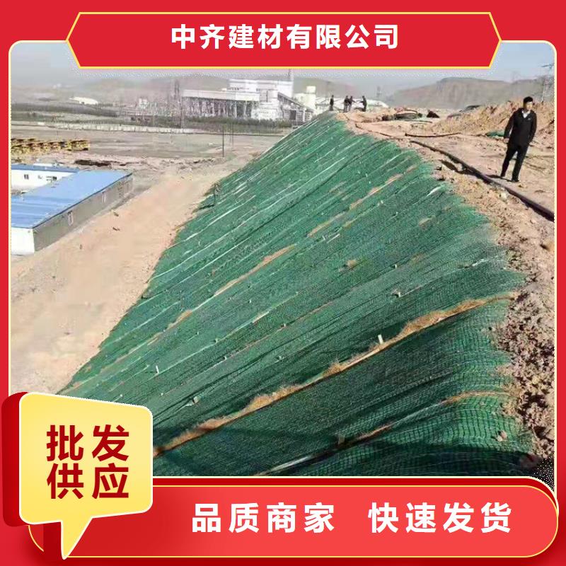 椰丝毯双向塑料土工格栅品质过硬