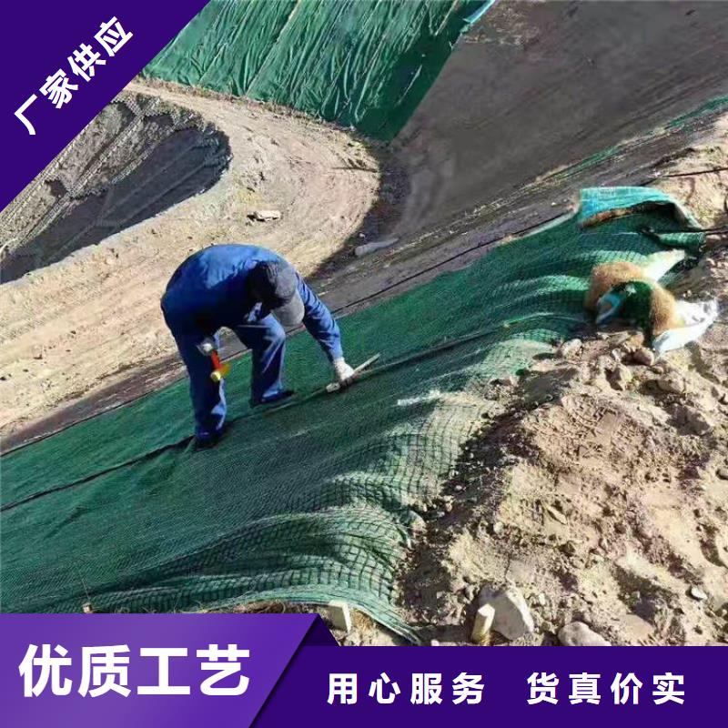 【椰丝毯双向土工格栅专业生产设备】