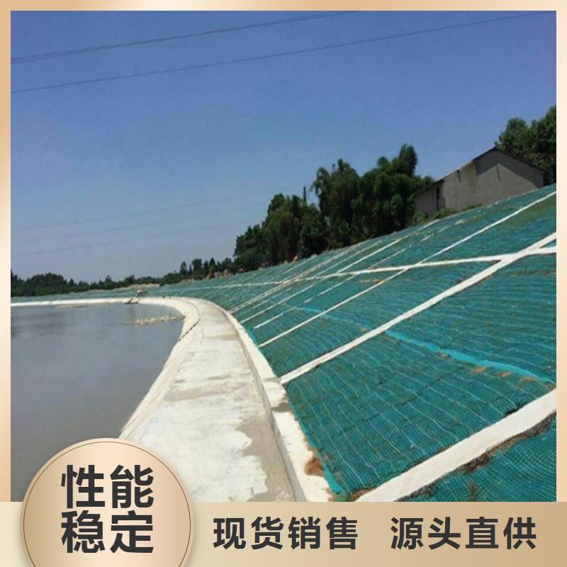 椰丝毯-防渗膜产地批发