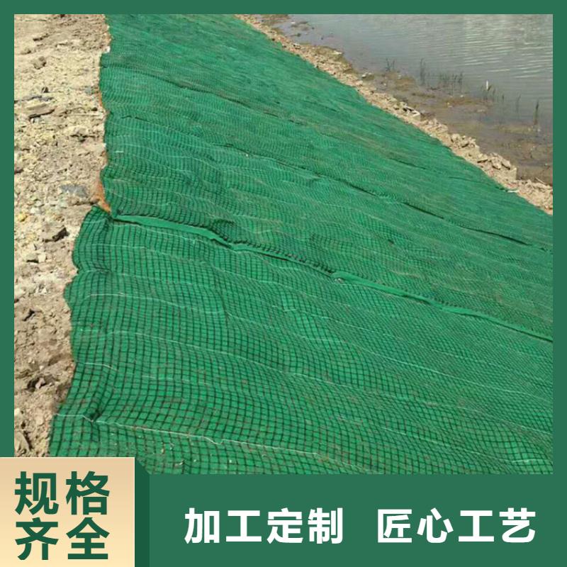 椰丝毯HDPE土工膜专心专注专业