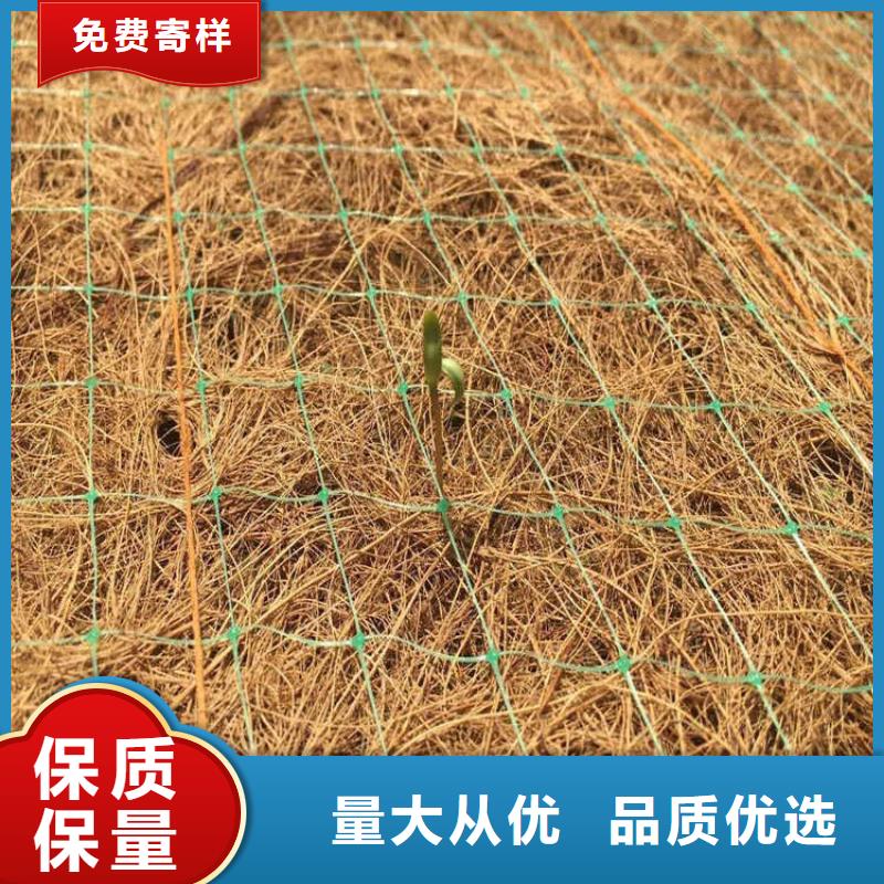 椰丝毯钢塑土工格栅工厂直供