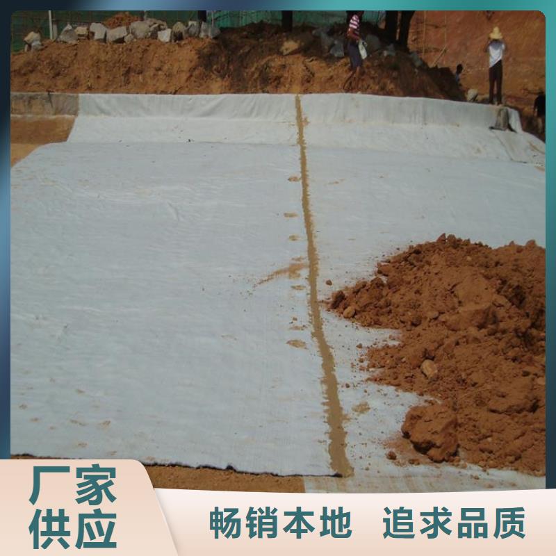 【膨润土防水毯_排水管来电咨询】