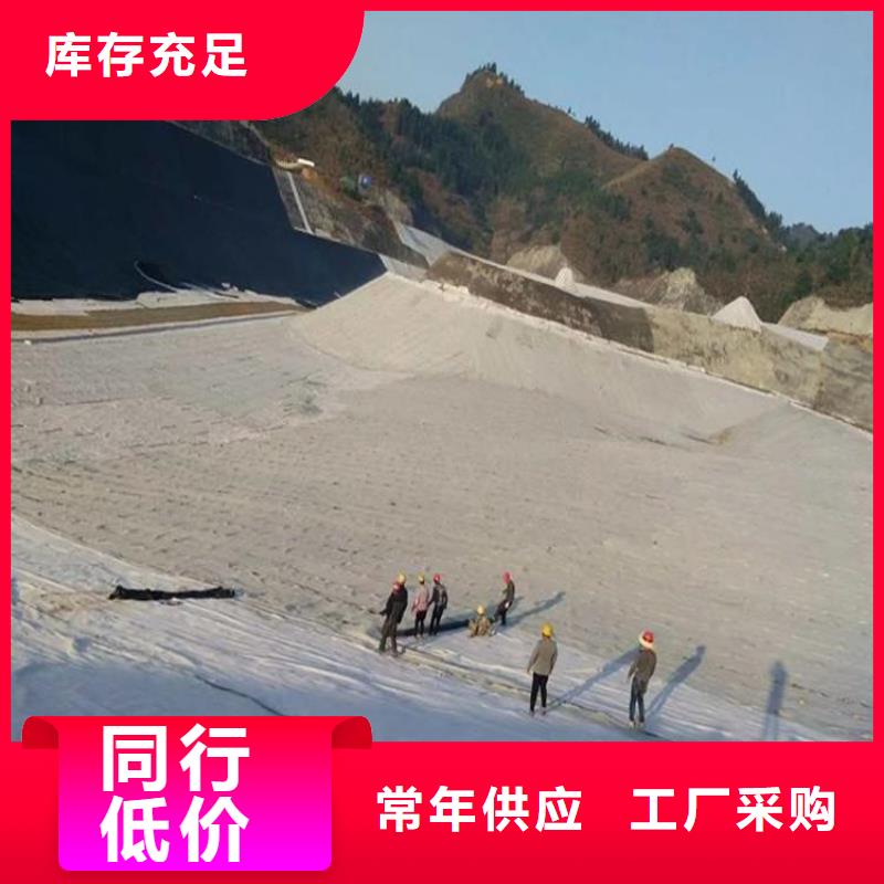 膨润土防水毯防渗膜支持定制