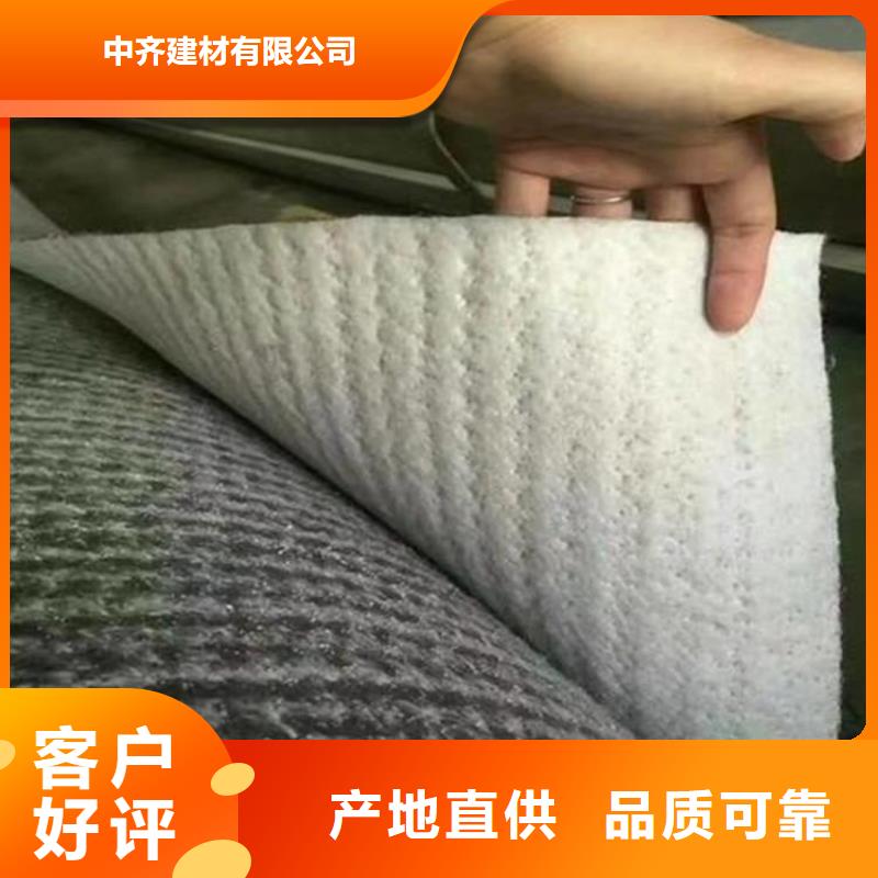 膨润土防水毯聚酯长丝土工布专业信赖厂家