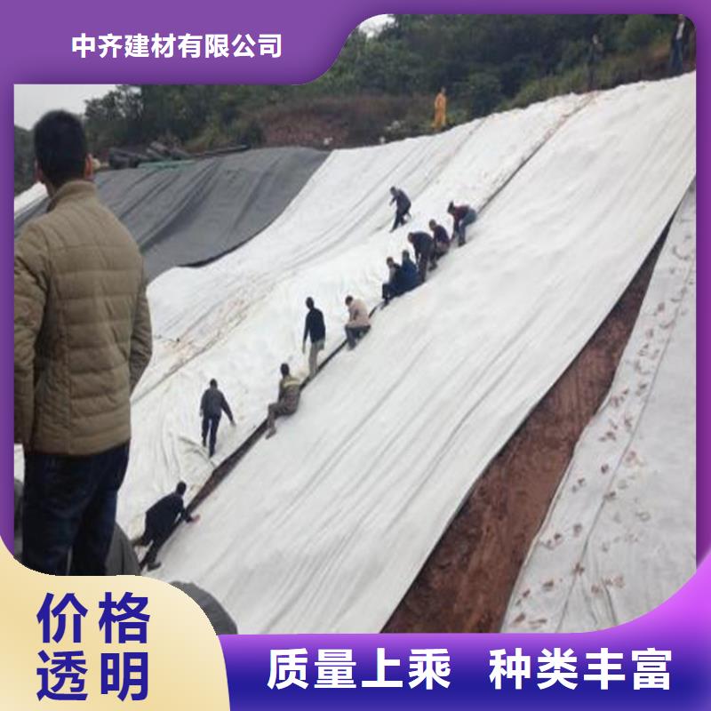 膨润土防水毯_防渗膜快速发货