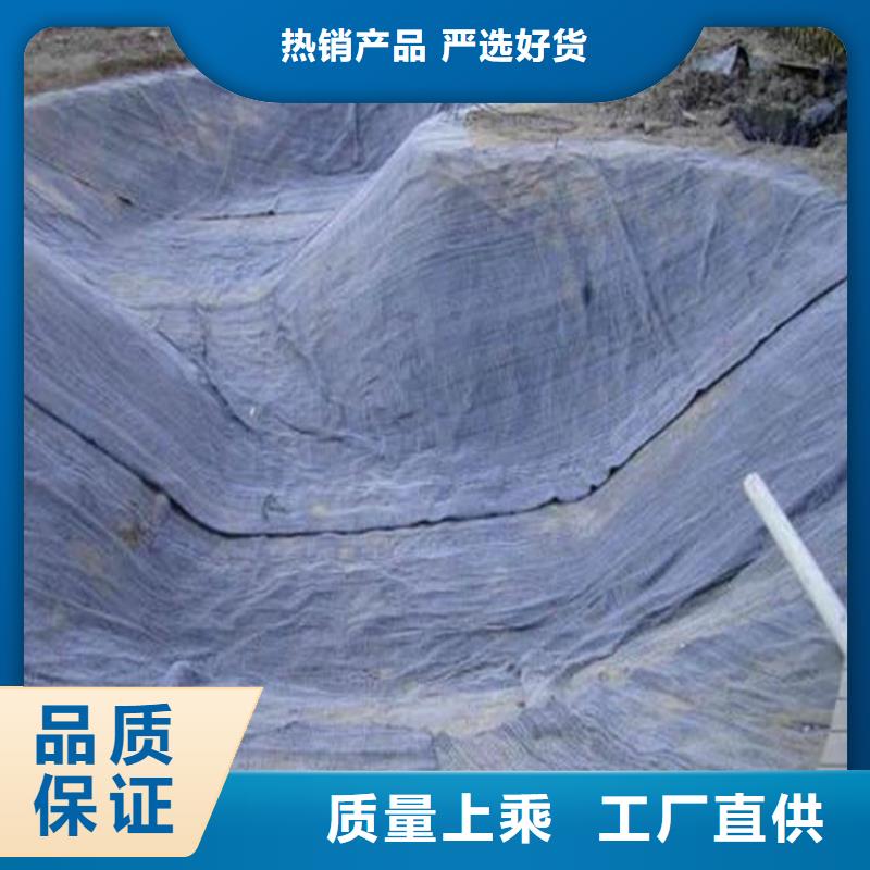膨润土防水毯,复合土工膜经销商