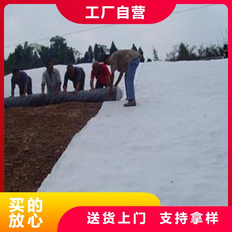 膨润土防水毯聚酯长丝土工布专业信赖厂家