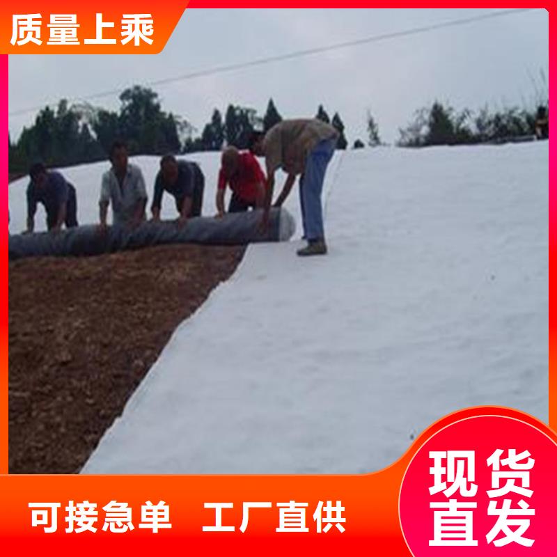 膨润土防水毯聚酯长丝土工布一手货源