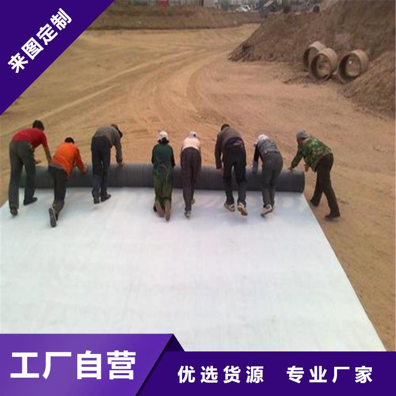 膨润土防水毯,复合土工膜经销商