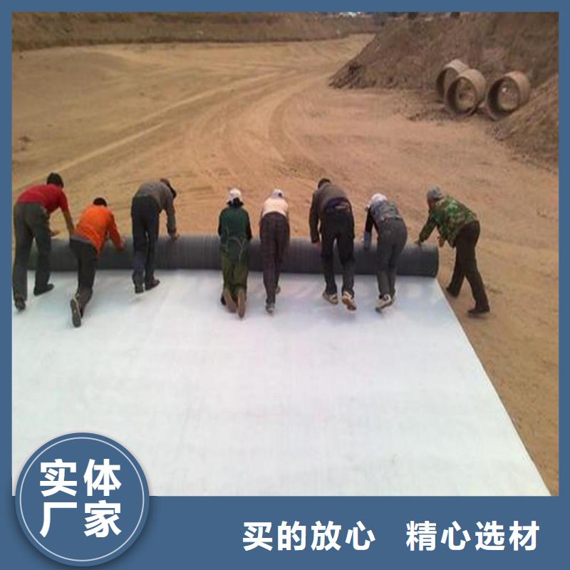 膨润土防水毯拉筋带源厂定制