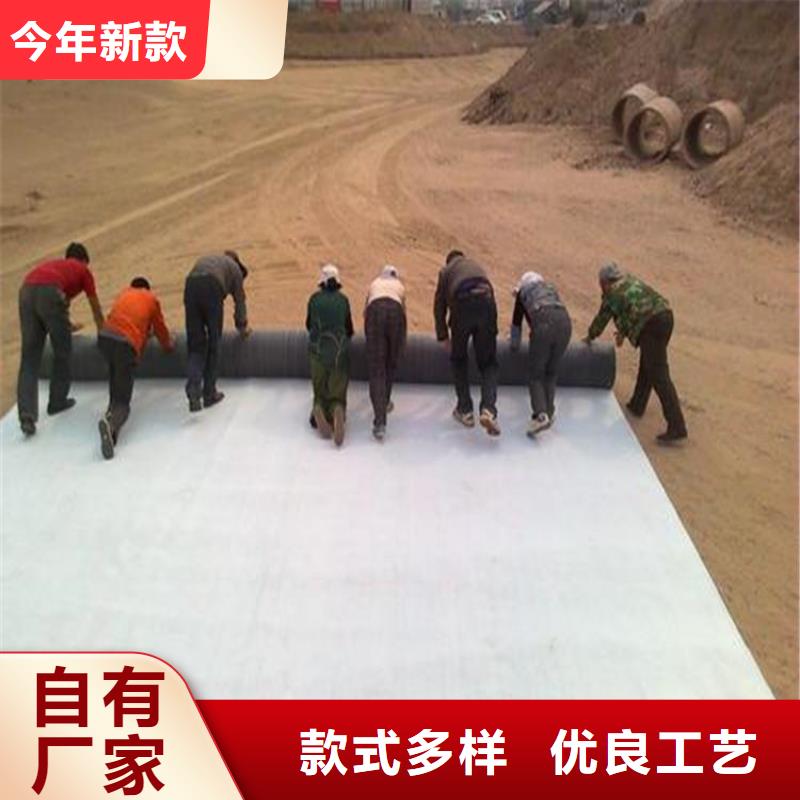 膨润土防水毯涤纶格栅源头厂商