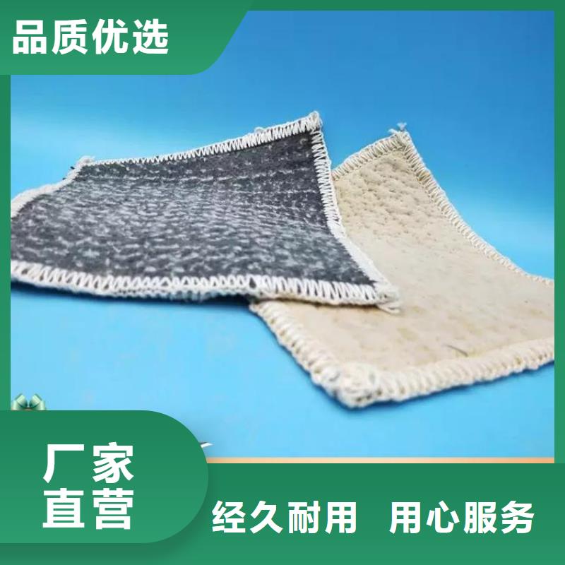膨润土防水毯_防渗膜快速发货