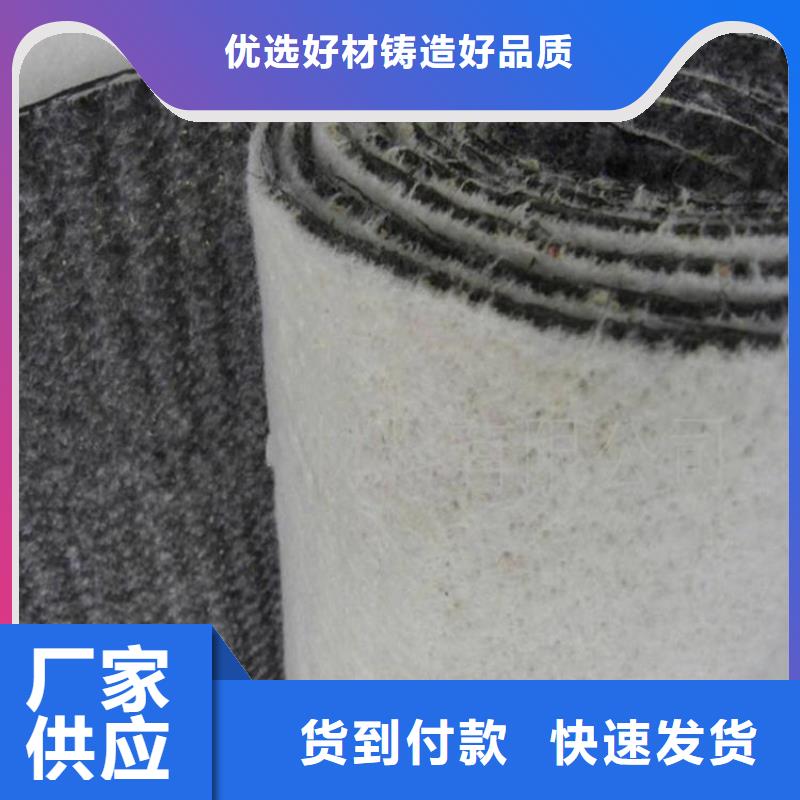 膨润土防水毯聚酯长丝土工布专业信赖厂家