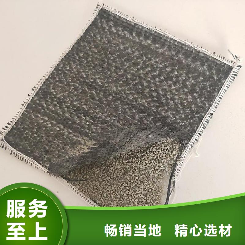 膨润土防水毯_防渗膜快速发货