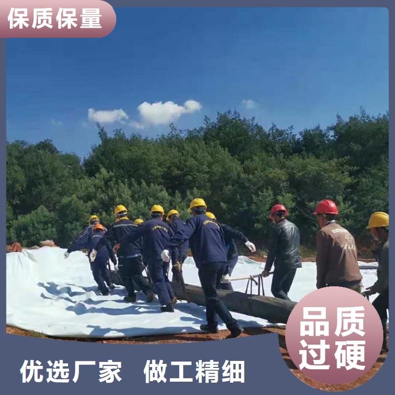 膨润土防水毯_【土工格栅】用心服务