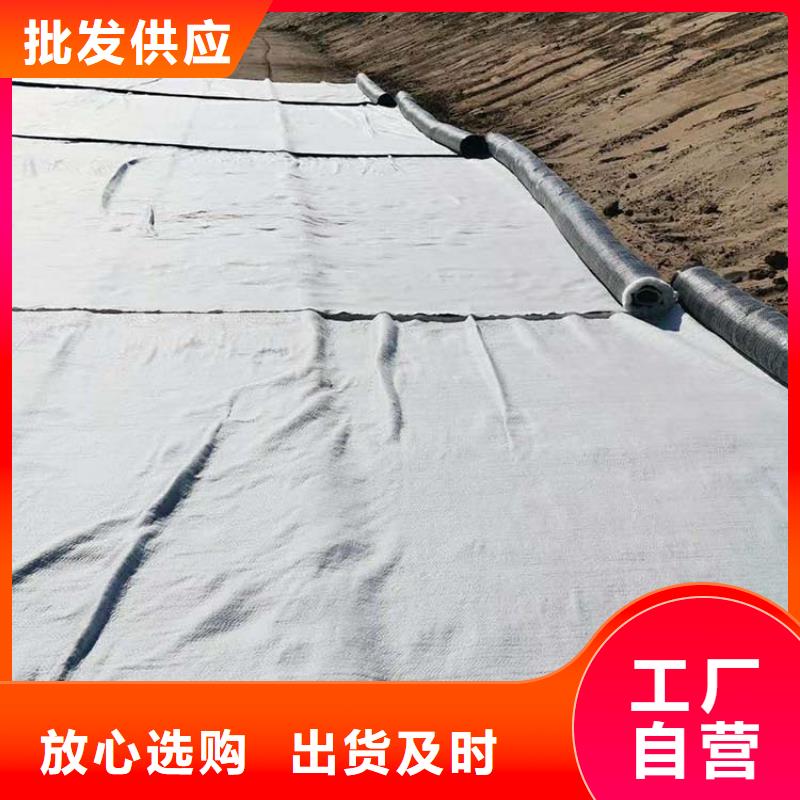 膨润土防水毯塑料玻纤格栅厂家定制