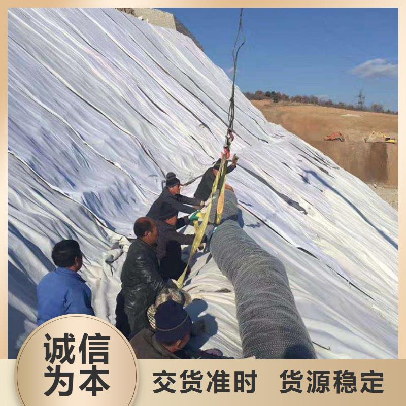 膨润土防水毯塑料玻纤格栅厂家定制