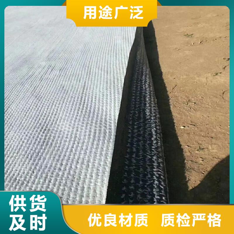 膨润土防水毯塑料玻纤格栅厂家定制