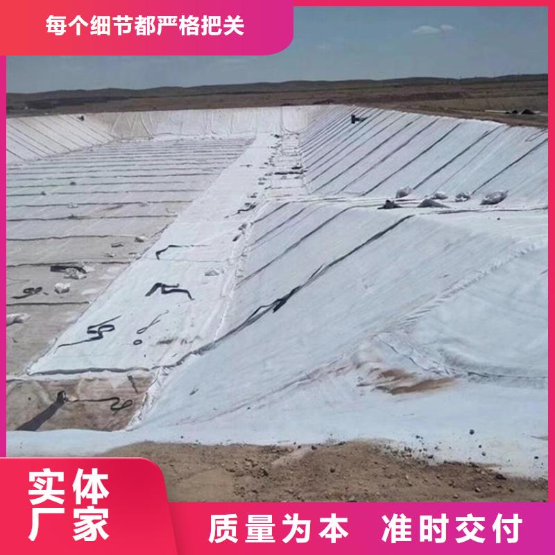 膨润土防水毯聚酯长丝土工布专业信赖厂家