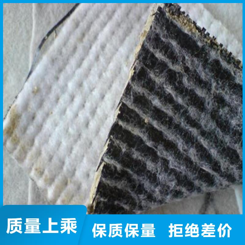 膨润土防水毯双向土工格栅多年行业积累