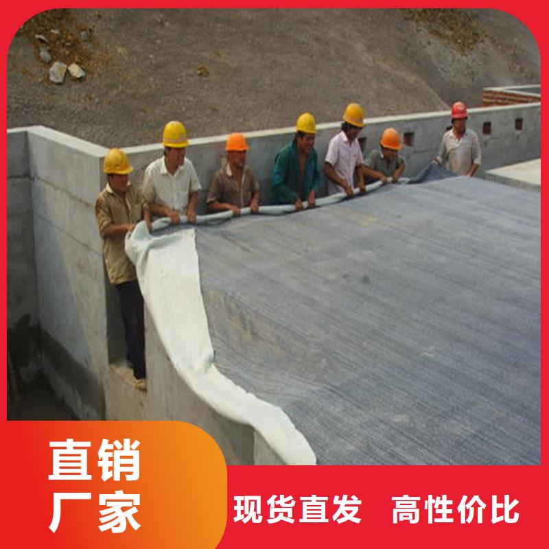 【膨润土防水毯土工布质优价廉】