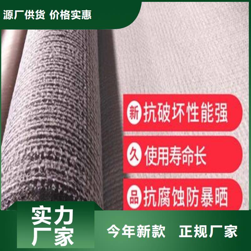 膨润土防水毯土工布追求品质