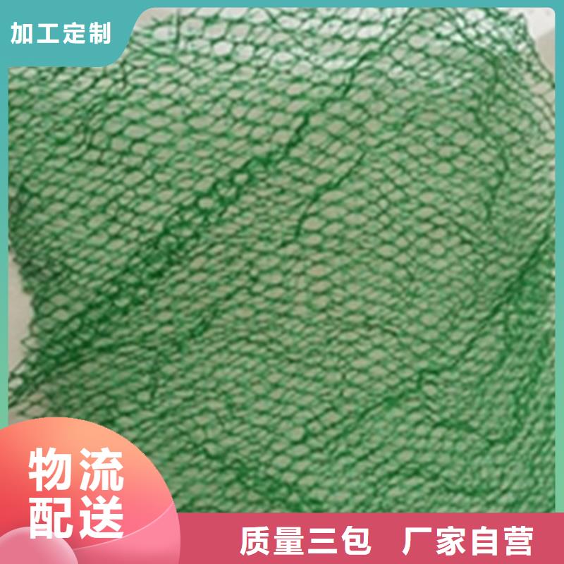 三维植被网土工格栅精心选材