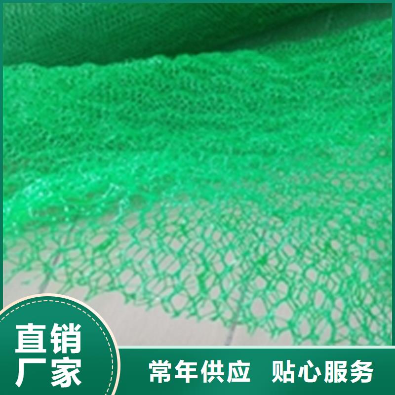 三维植被网HDPE土工膜敢与同行比价格