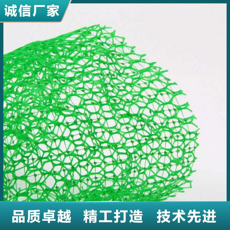 三维植被网土工格栅专注产品质量与服务