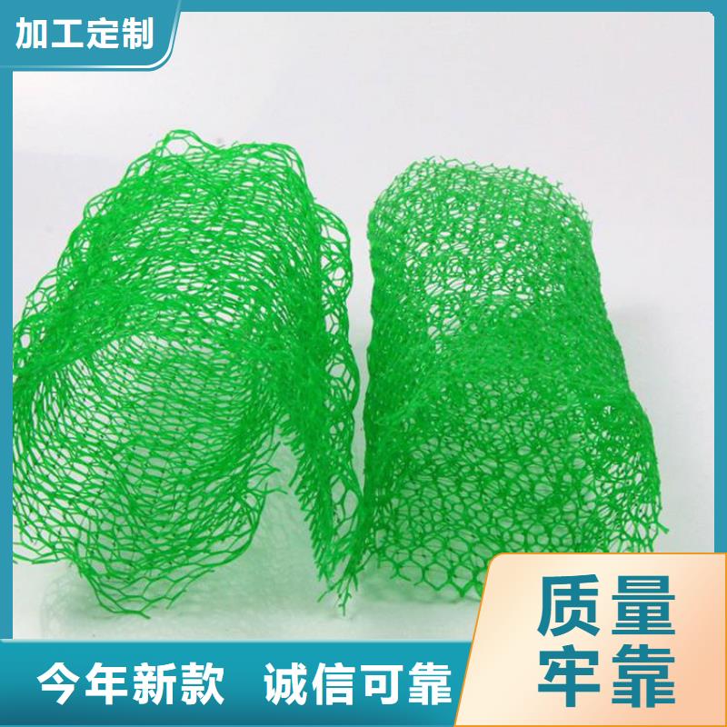 三维植被网波纹管源厂直接供货