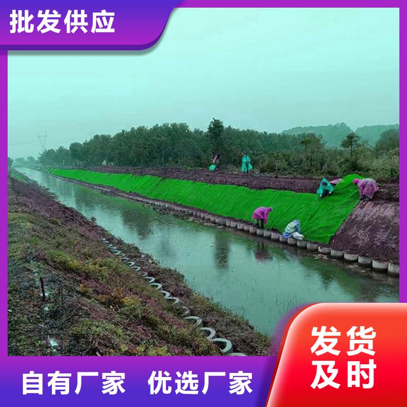 三维植被网软式透水管免费安装