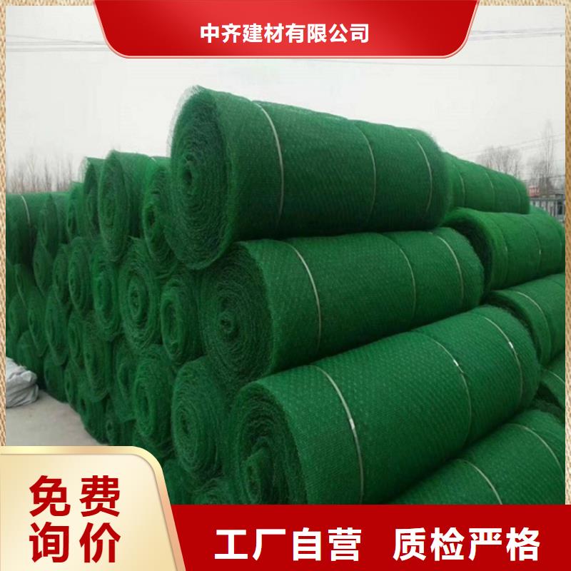 三维植被网硬式透水管生产厂家