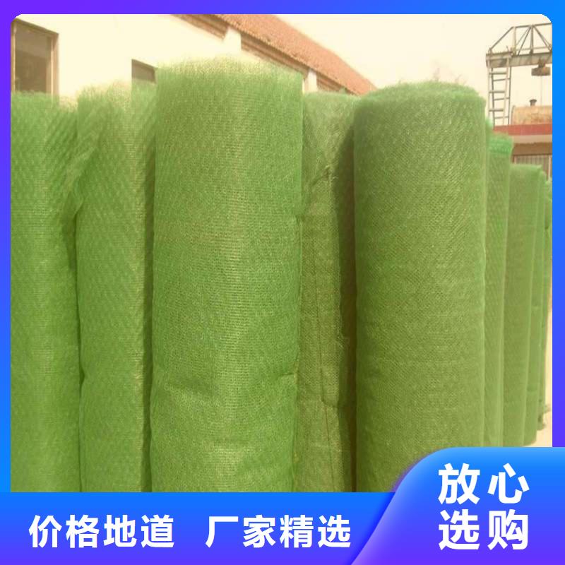 三维植被网原厂制造