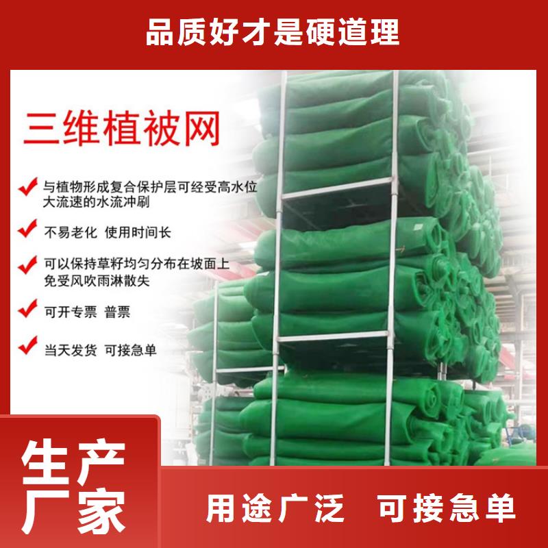 三维植被网土工布真材实料